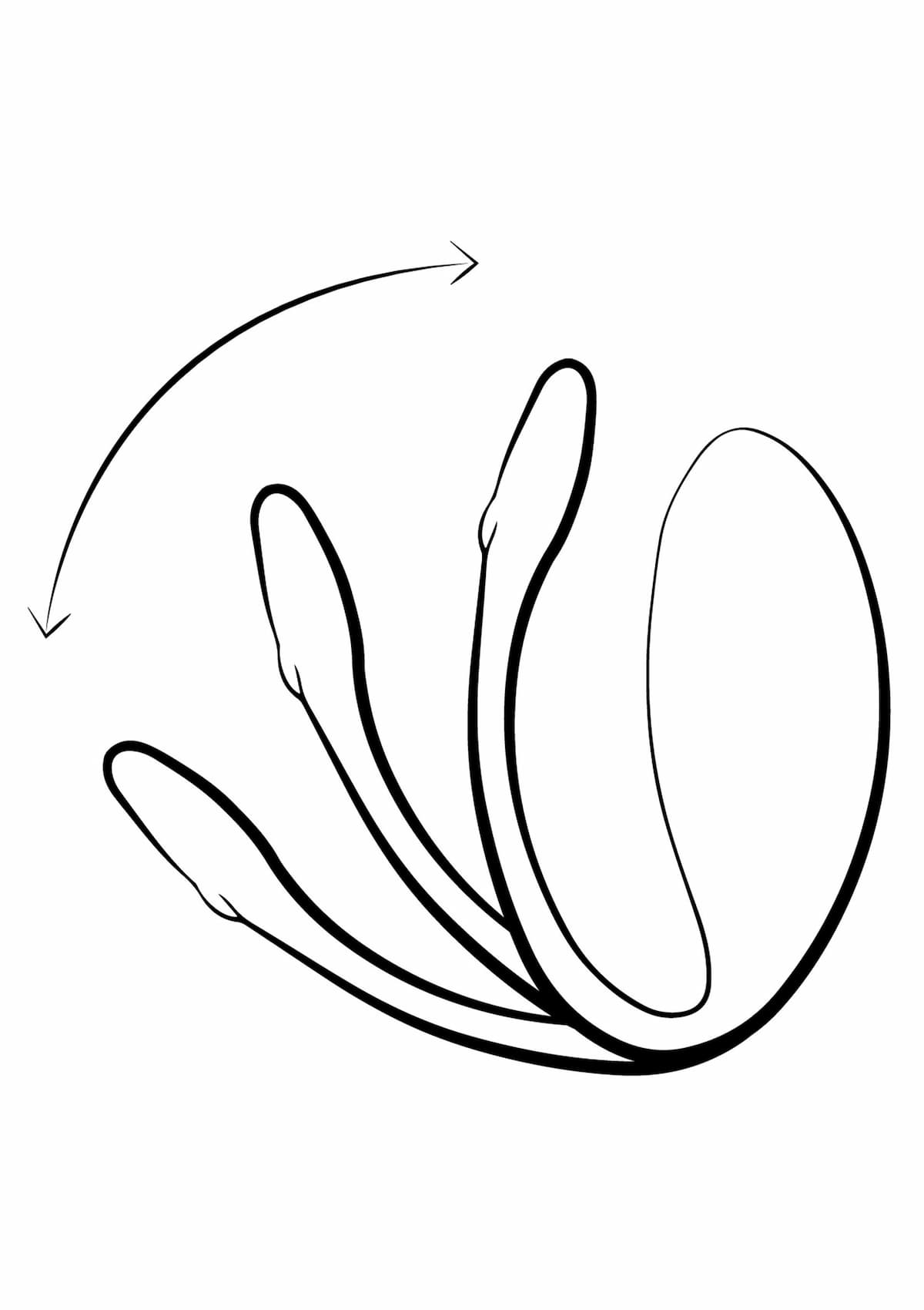 0fc4cb37-e0bb-4798-89e0-3b6185dd23dc.jpg